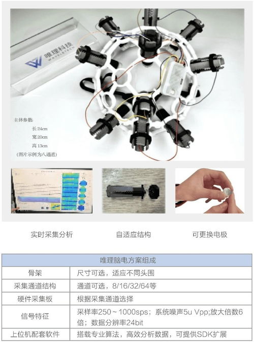 基于全国产化EEG设备的青少年天赋测评与心理分析解决方案